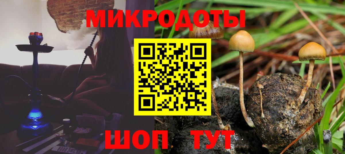 Псилоцибиновые грибы Cubensis Камень-на-Оби