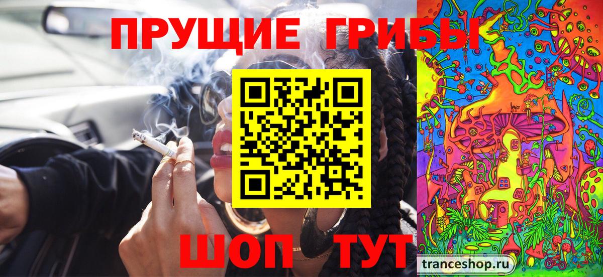 Псилоцибиновые грибы ЛСД  Вход с VPN  Камень-на-Оби  Псилоцибиновые грибы Psilocybe 